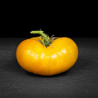 Rajče Azoychka - Solanum lycopersicum - semena - 8 ks