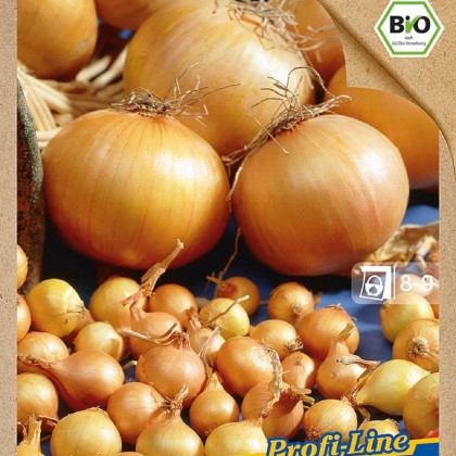 BIO Cibule sazečka Contado F1 - Allium cepa - bio cibulky - 50 ks