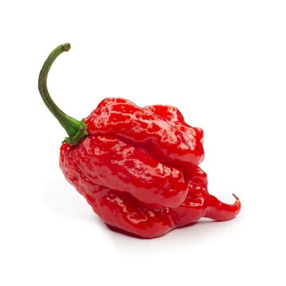 Chilli 7 Pot Primo - Capsicum chinense - semena – 6 ks