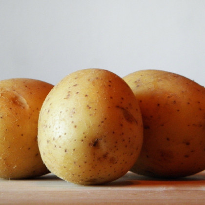 Sadbové brambory Sunshine - Solanum tuberosum - 5 kg