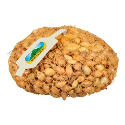 Cibule sazečka Všetana - Allium cepa - cibulky - 250 g