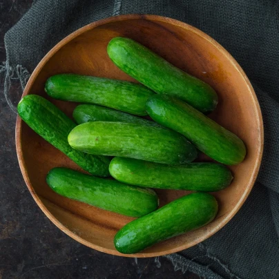 Okurka salátová Baby F1 - Cucumis sativus - semena - 10 ks