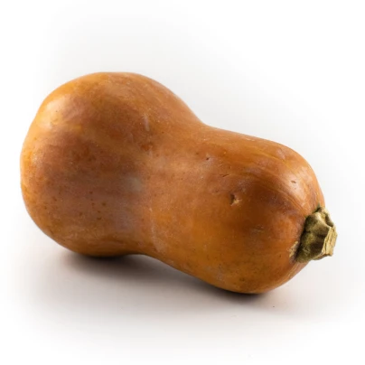 Dýně máslová Honeynut - Cucurbita moschata - semena - 6 ks