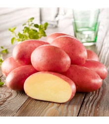 Sadbové brambory Ramona - Solanum tuberosum - 10 ks