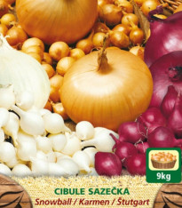 Směs sazeček - Allium cepa - 3 druhy - 150 g