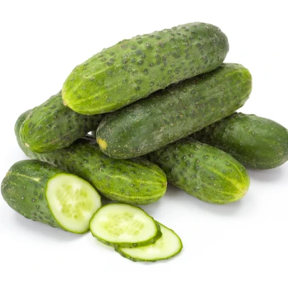 BIO Okurka nakládačka Diamant F1 - Cucumis sativus - bio semena - 8 ks