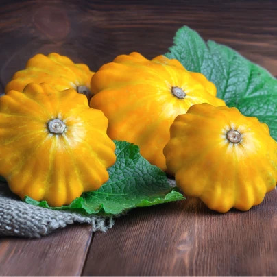 Patizon Golden Marbre - Cucurbita pepo - semena - 5 ks