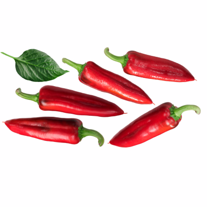 Paprika kořeninová hodonínská - Capsicum annuum - semena - 90 ks