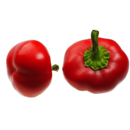 Rajčatová paprika Topgirl - Capsicum annuum - semena - 7 ks