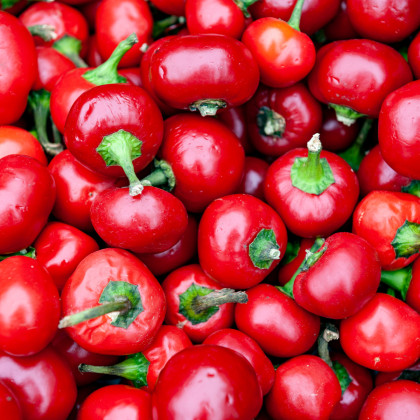 Chilli Large Red Cherry Hot - Capsicum annuum - semena - 7 ks