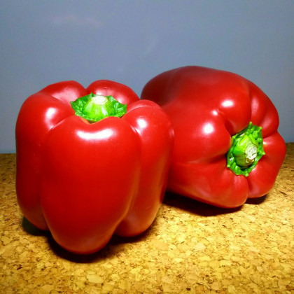 Paprika Babybell červená - Capsicum annuum - semena - 8 ks