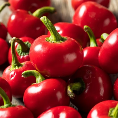 Chilli Cherry Bomb - Capsicum annuum - semena - 6 ks