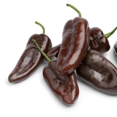 Paprika Sweet Chocolate - Capsicum annuum - semena - 7 ks