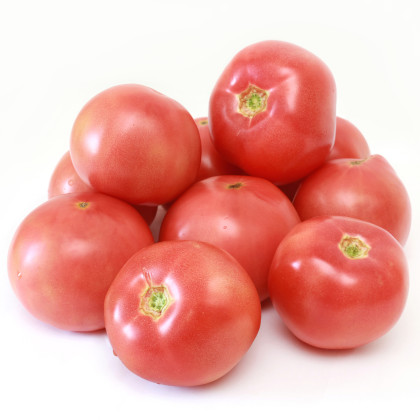 Rajče Big Pink F1 - Solanum lycopersicum - semena - 7 ks