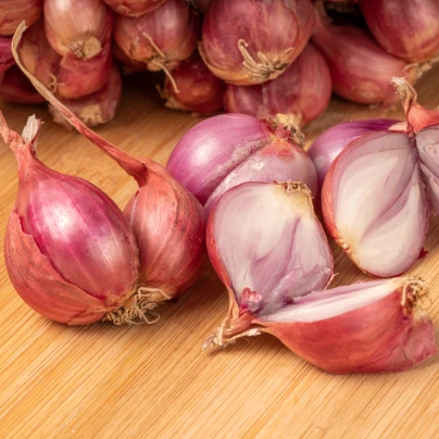 Cibule šalotka červená Sante - Allium cepa - cibulky - 500 g