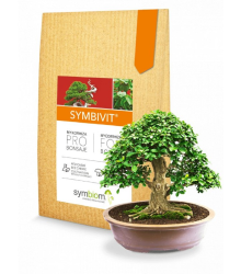 Symbivit Bonsai - mykorhiza pro bonsaje - Symbiom - 150 g