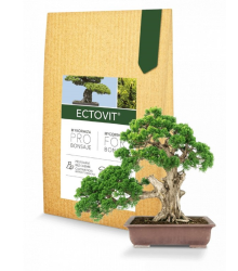 Ectovit Bonsai - mykorhiza pro bonsaje - Symbiom - 100 g