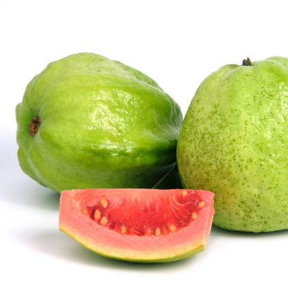 Guave - Psidium guajava - semena - 4 ks